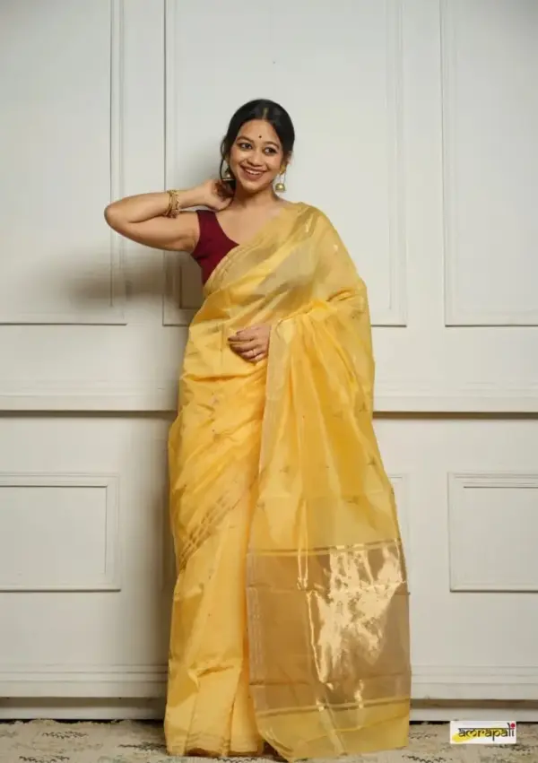 PUSHPA SAREE