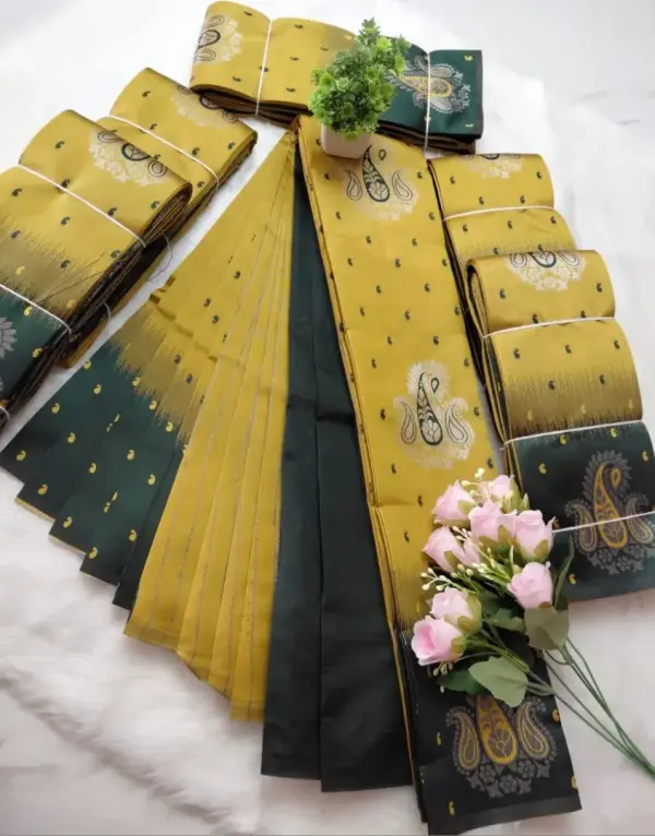 VARNAM PAISLEY WEAVES SAREE