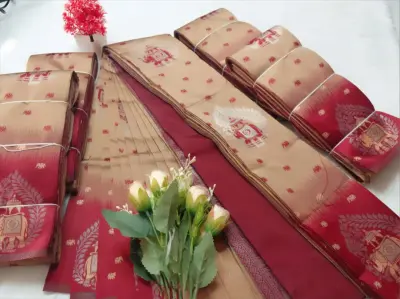 ELEGANT ELEPHANT BORDER SAREES