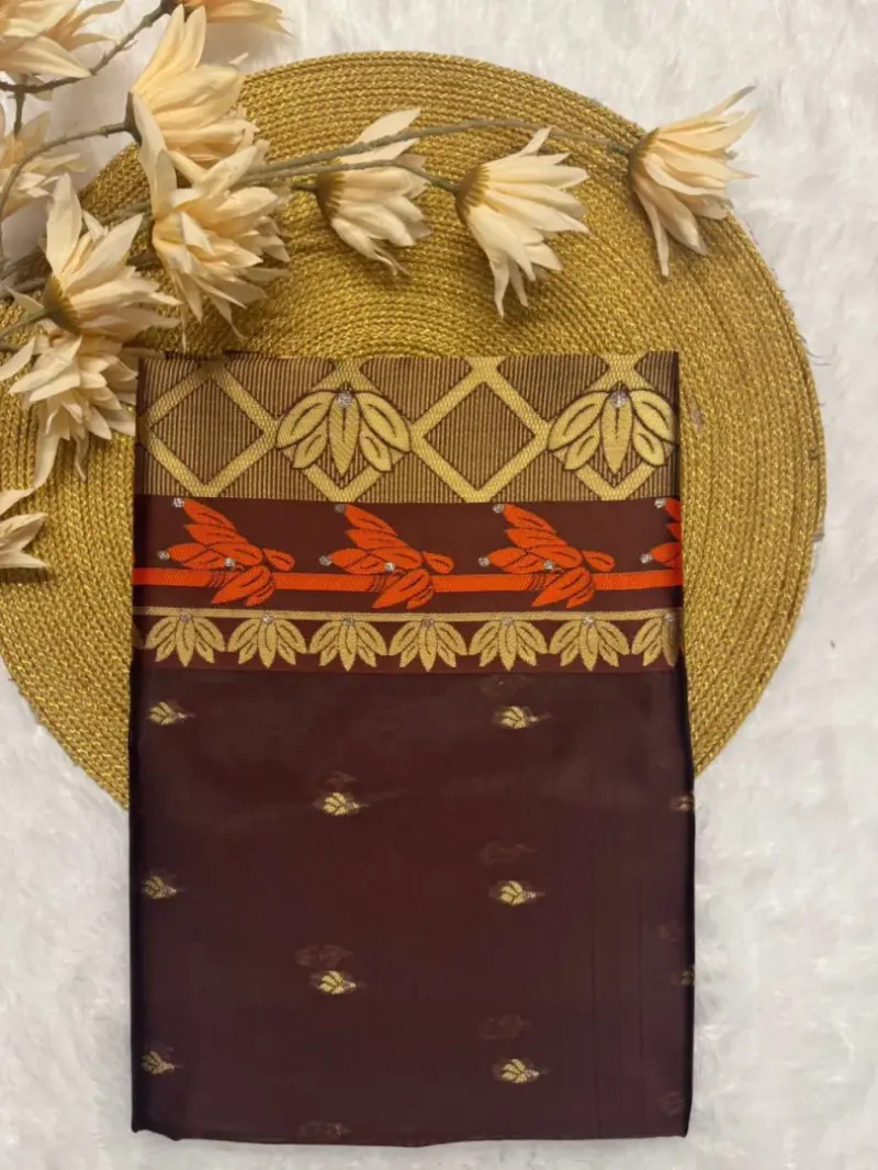 Coffee Soft Banarasi Silk Saree - View 1