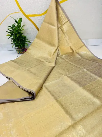 Goldn Tissue Saree