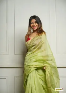 PUSHPA SAREE