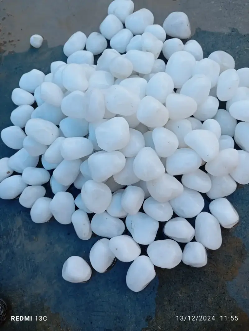 Premium Small Medium Single  Polished White Pebble Stones (20-30mm)