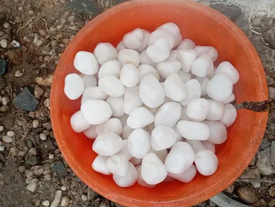 Pure white stone pebbles 25 KG  BAG