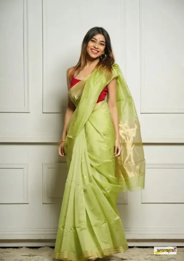 PUSHPA SAREE