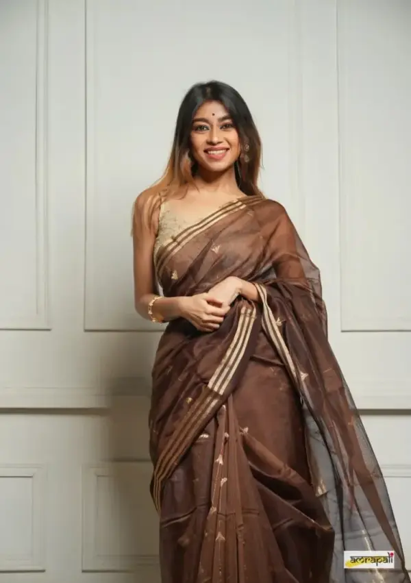 PUSHPA SAREE
